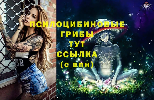 apvp Абдулино