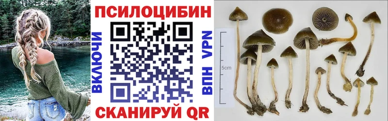 Псилоцибиновые грибы Magic Shrooms Инта